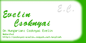 evelin csoknyai business card